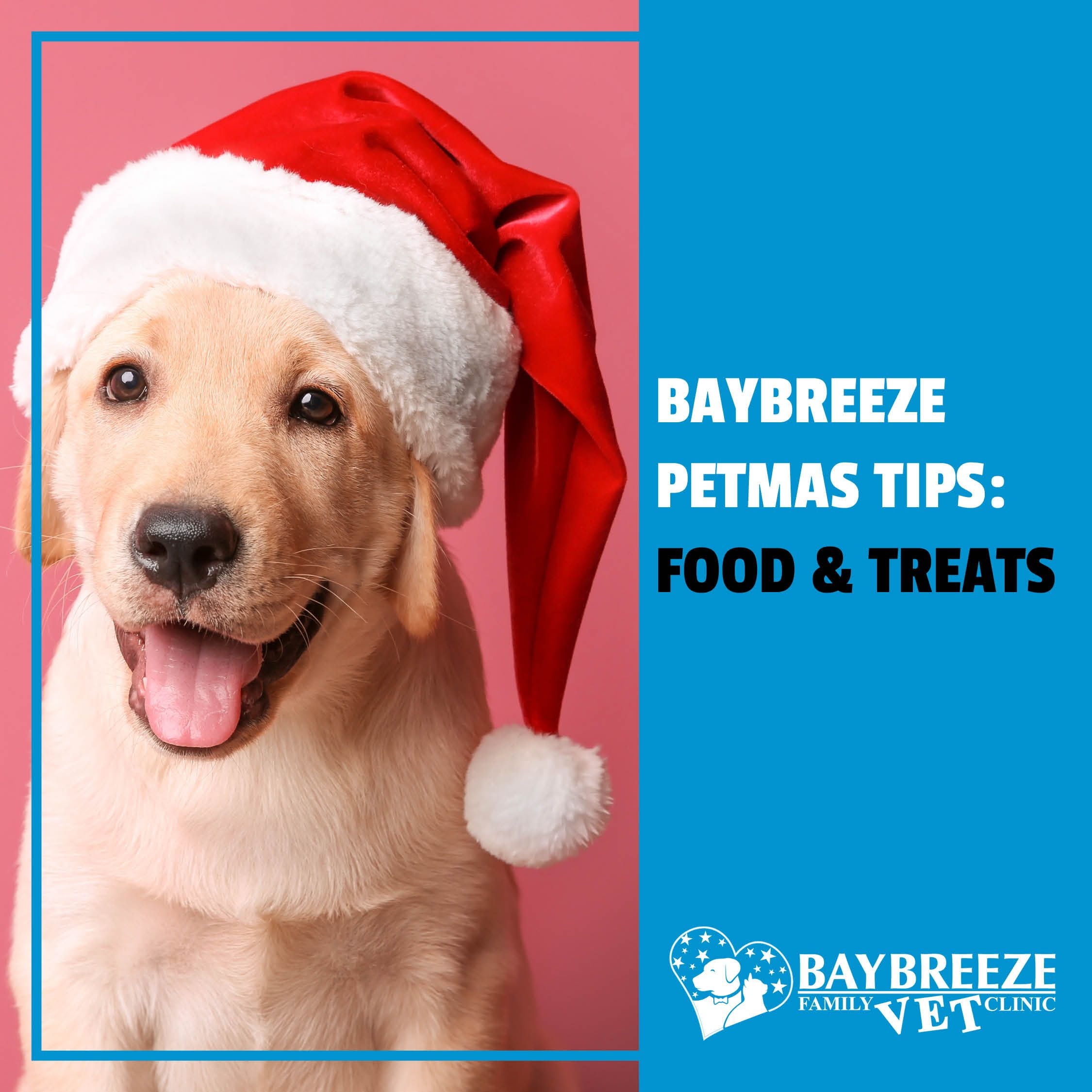 Petmas Tips: Food and Treats Petmas Tips: Food and Treats